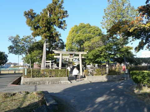 20250102郡家素戔嗚尊神社 (1)