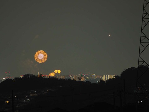 20220827なにわ淀川花火 (10)