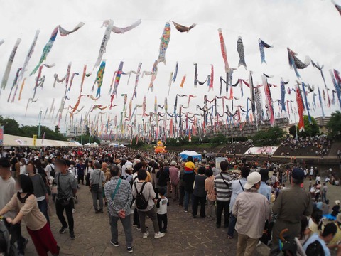 20240429こいのぼりフェスタ (14)