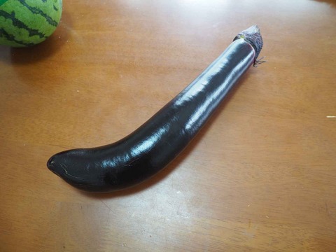 20220730樫田なす (2)