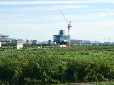 20250927新名神国道堤防 (38)