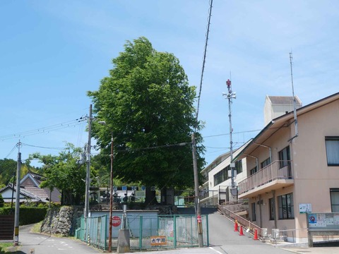 20240525樫田大桂 (5)