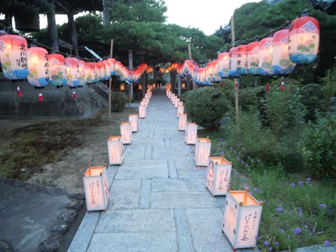 20240824清蓮寺 (5)