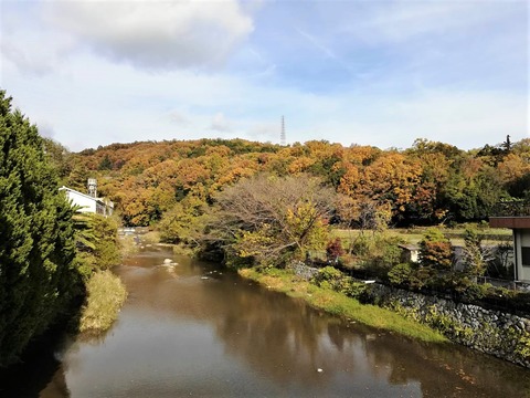 20221124紅葉 (2)