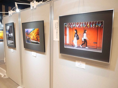 20240921高槻市美術展 (44)