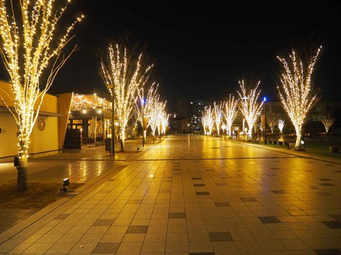 20230203安満遺跡公園 (1)