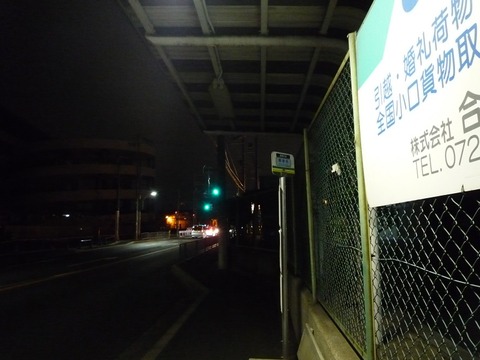 shibonisi2
