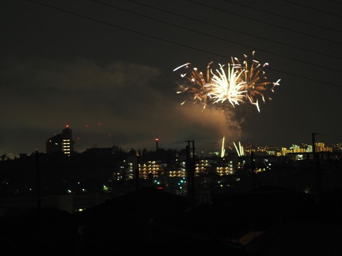 20221126万博花火 (48)