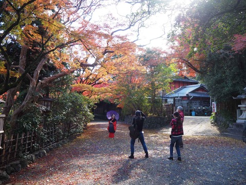 20211123長岡天神 (11)