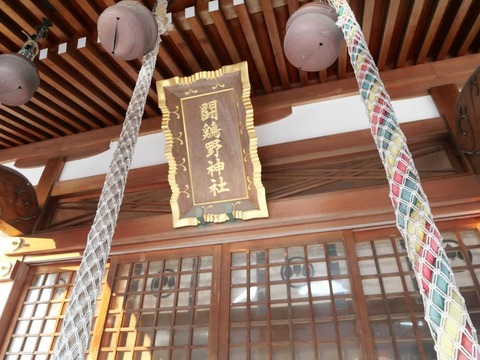 20250102闘鶏野神社 (1)