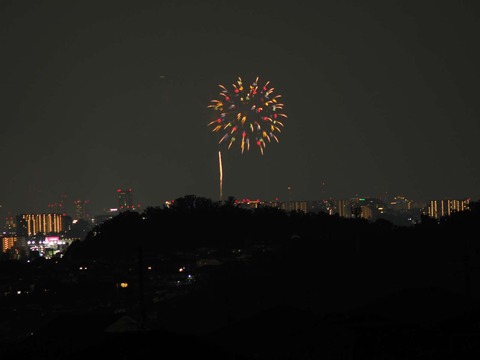 20220827なにわ淀川花火 (144)