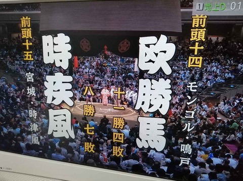 20240512欧勝馬 (2)