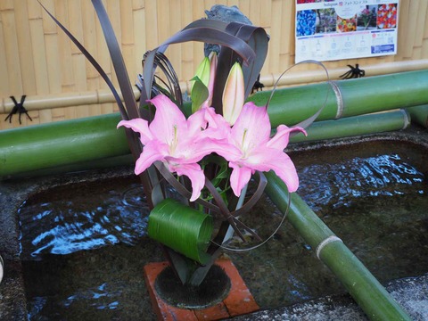 20211212野見神社 (5)