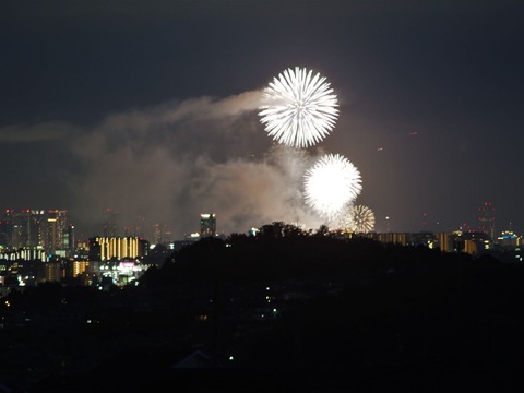20230805淀川花火 (1)