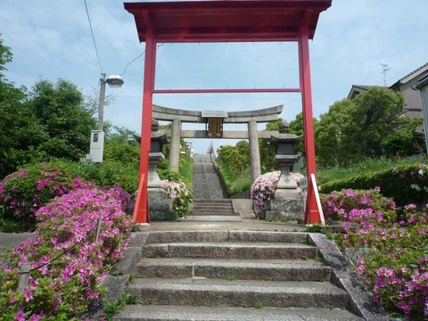tsugeno_1