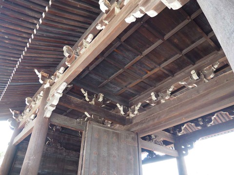 20230616東寺 (46)
