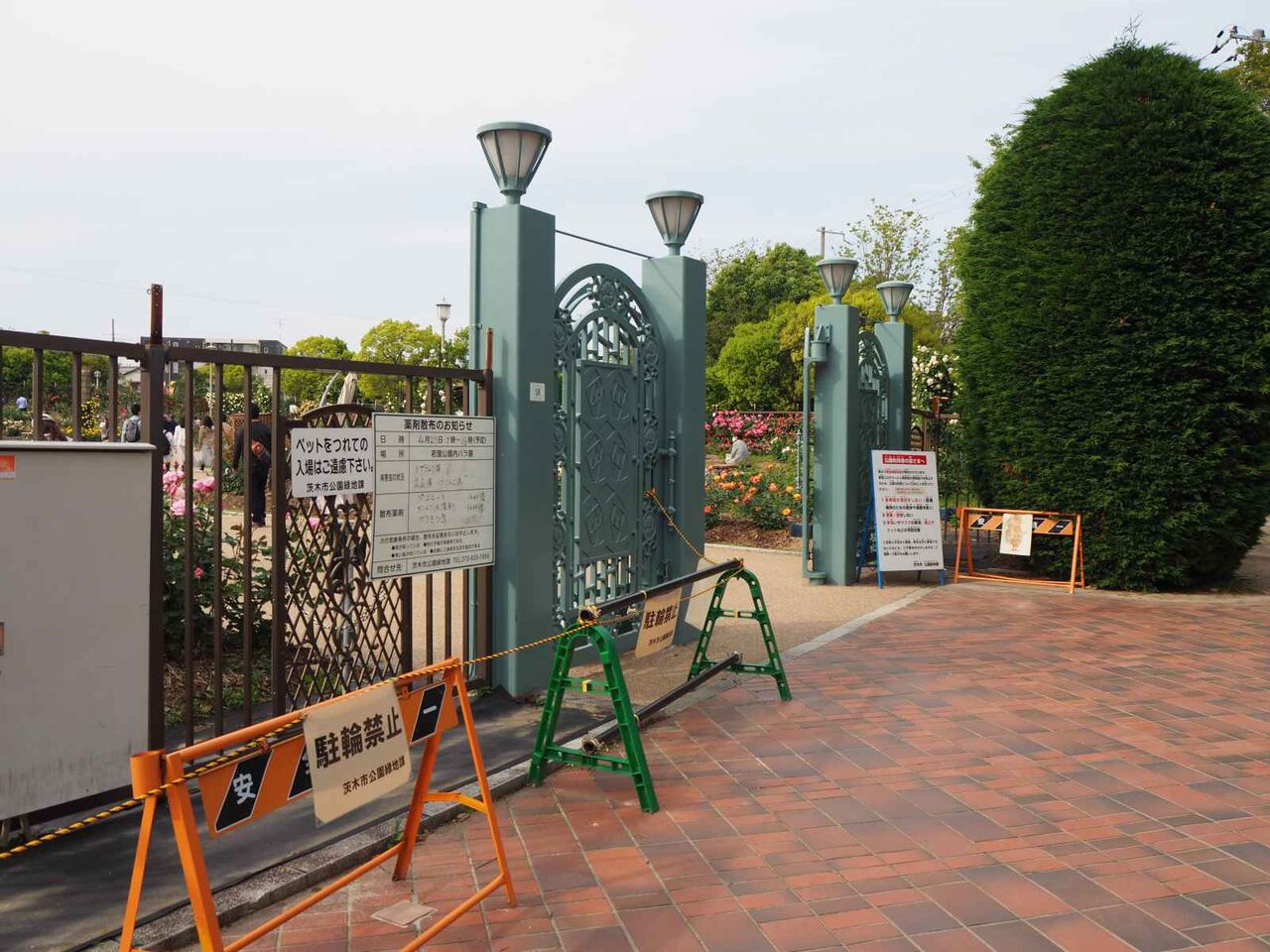 高槻のすぐおとなり バラが見頃になってる 茨木の若園公園 21年 高槻network新聞 高槻のすぐおとなり バラが見頃になってる 茨木の若園公園 21年 高槻network新聞