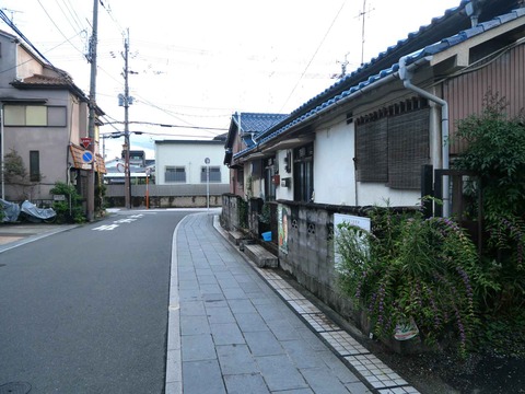 20240910八幡町 (1)