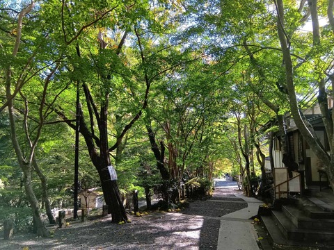 20251029神峯山寺 (13)