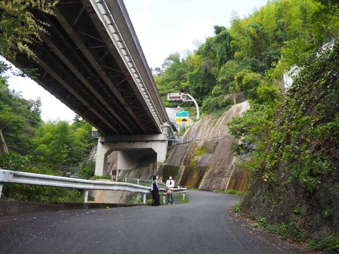 20210923一乗寺桟橋 (10)