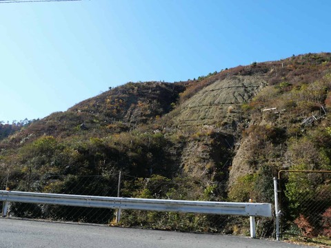 20241207府道6号紅葉 (37)