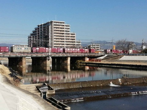 20210206kamotu1 (6)
