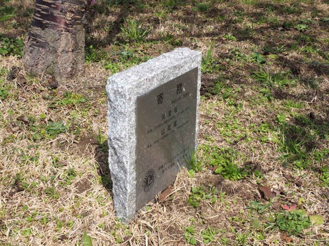 20240224今城塚古墳公園 (7)