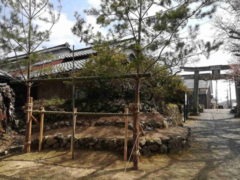 sk_hara_20190404_6