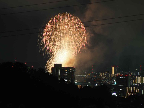 20220904くらわんか花火 (278)