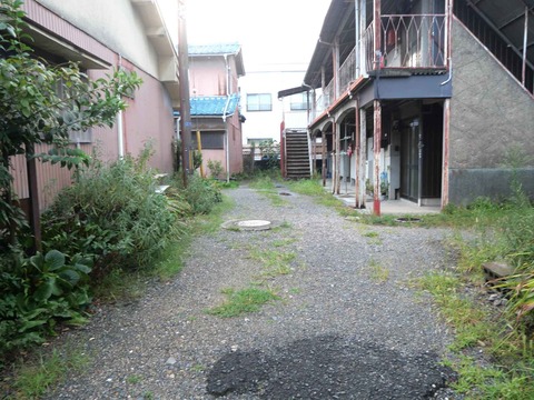 20240910八幡町 (6)