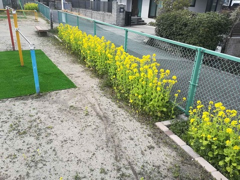 202402330西真上 (3)