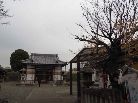 20230218阿久刀神社カモ (37)