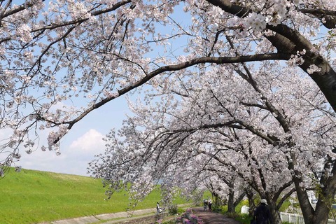 20200404sinkawa16