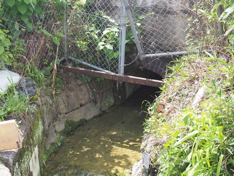 20230520島本町レンガ (18)