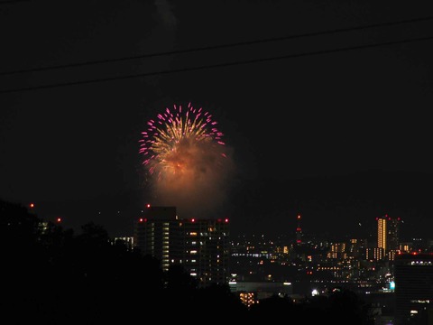 20220904くらわんか花火 (11)
