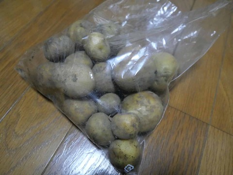 20241210じゃがいも (3)