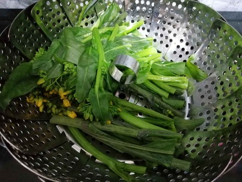 20240128アスパラ菜 (13)