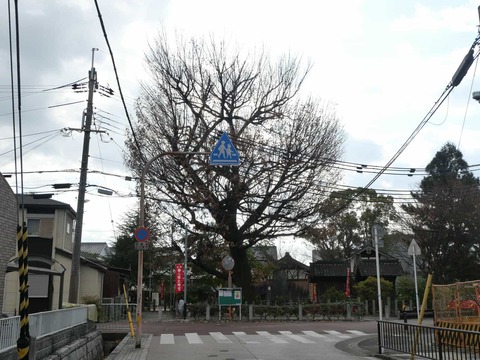 20250103八幡大神宮 (1)