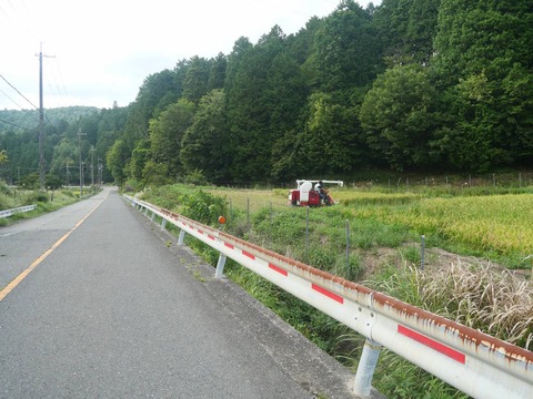 20260901樫田中畑 (3)