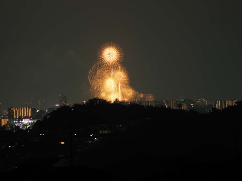 20220827なにわ淀川花火 (186)