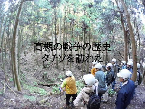タチソ表紙