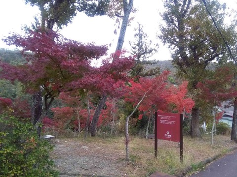 settukyo201811_3
