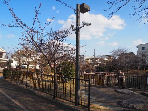 20220227筒井池 (17)