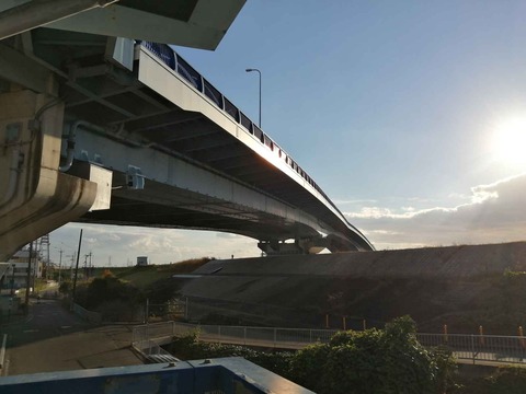20211116芝生大橋歩道 (1)