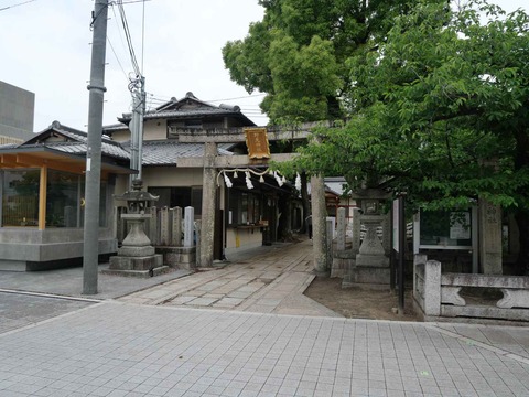 20240609野見神社 (5)