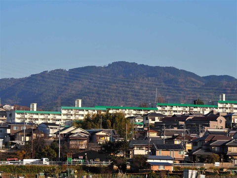 20221210摂津峡方面 (10)
