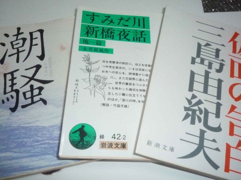 nagaike_sakka