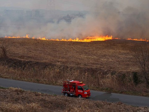 20220213ヨシ焼き (21)