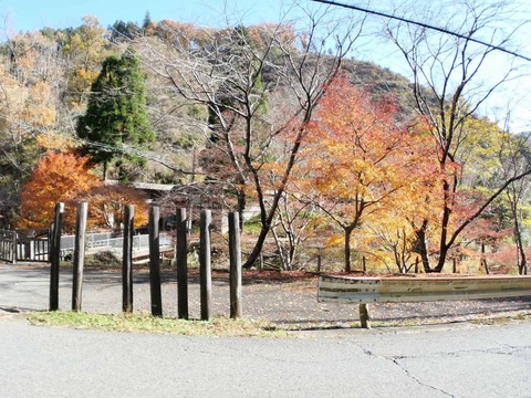 20241207府道6号紅葉 (27)