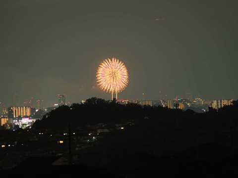 20220827なにわ淀川花火 (87)